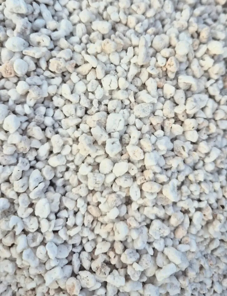 Perlite 3L CARNIVORE DE SOLOGNE