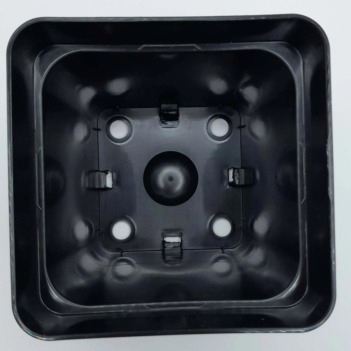 Pot carré 11x11x11 cm CARNIVORE DE SOLOGNE