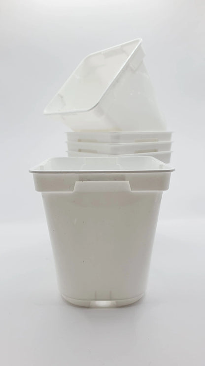Pot Blanc carré à fond rond 9x9x10 cm CARNIVORE DE SOLOGNE