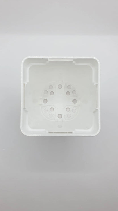 Pot Blanc carré à fond rond 9x9x10 cm CARNIVORE DE SOLOGNE
