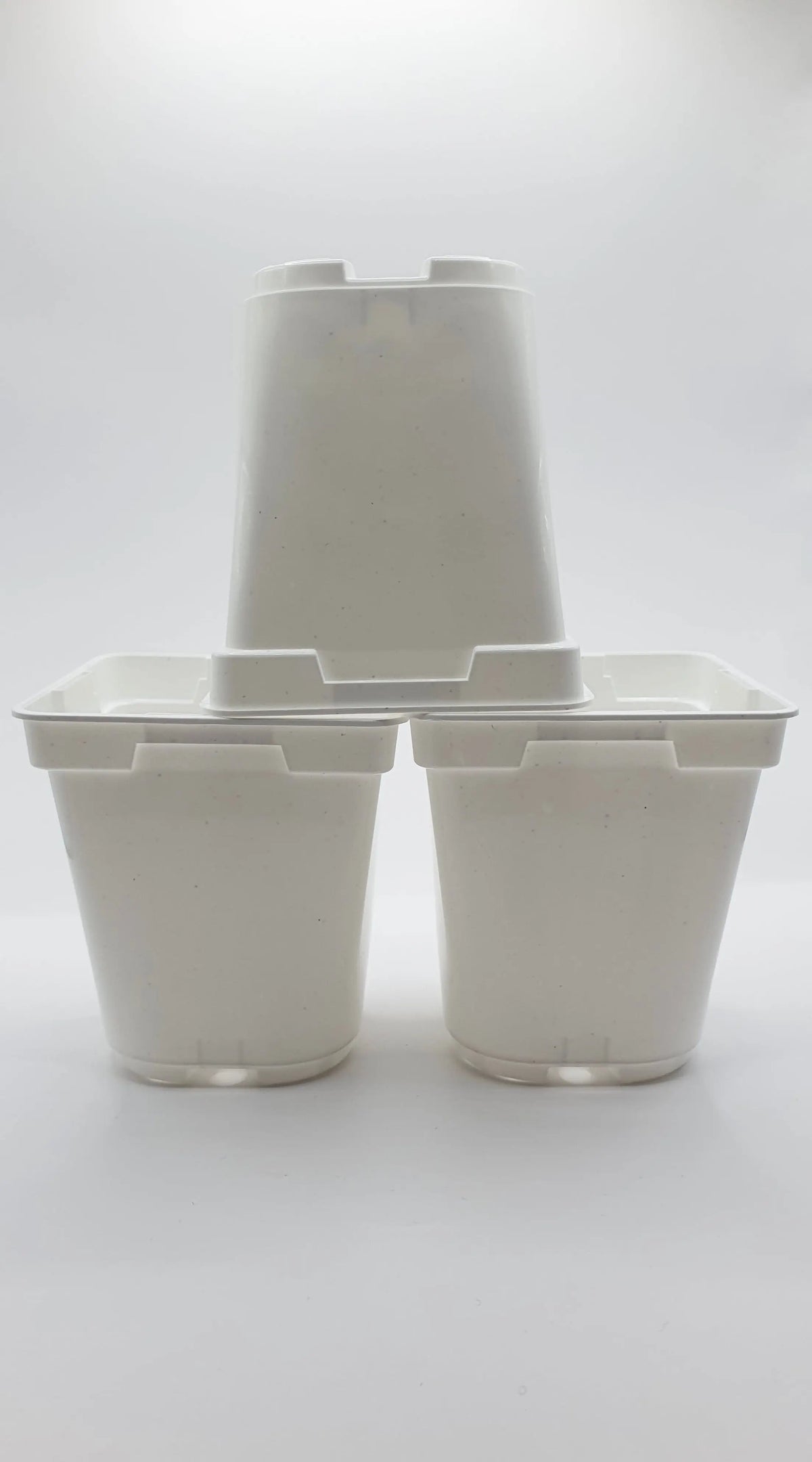 Pot Blanc carré à fond rond 9x9x10 cm CARNIVORE DE SOLOGNE
