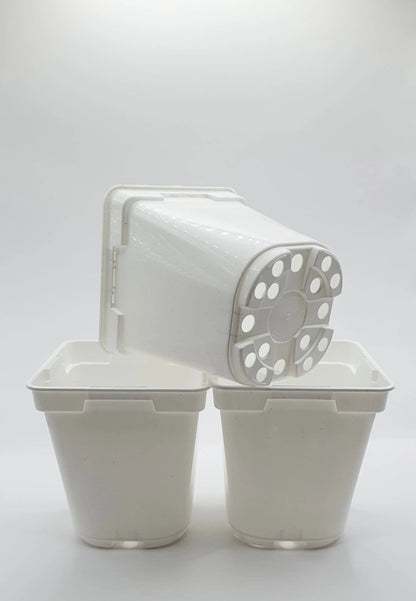 Pot Blanc carré à fond rond 9x9x10 cm CARNIVORE DE SOLOGNE