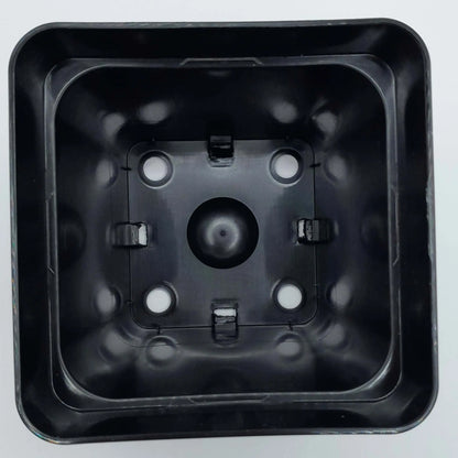 Pot carré 11x11x11 cm CARNIVORE DE SOLOGNE