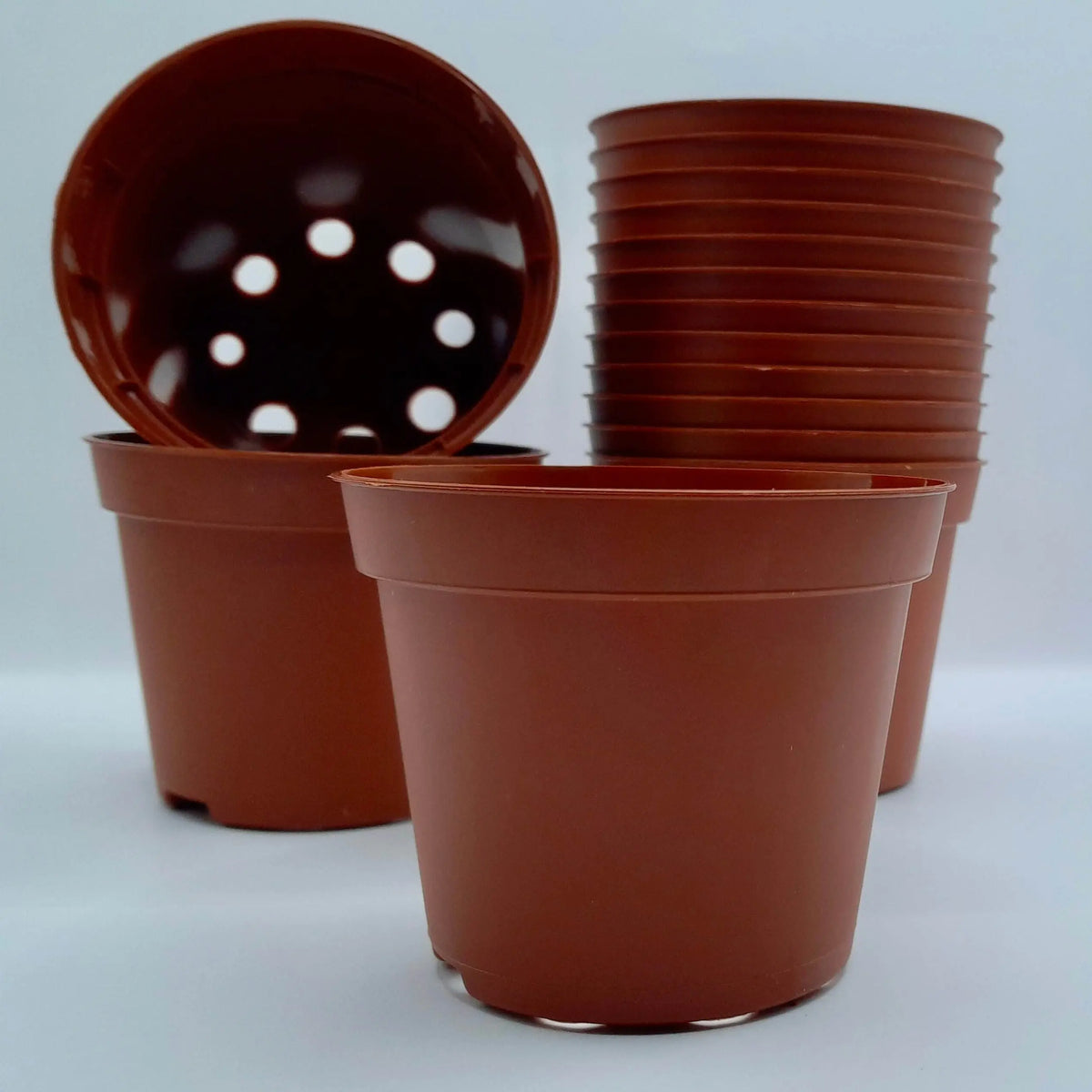 Pot rond 8x6,5cm CARNIVORE DE SOLOGNE